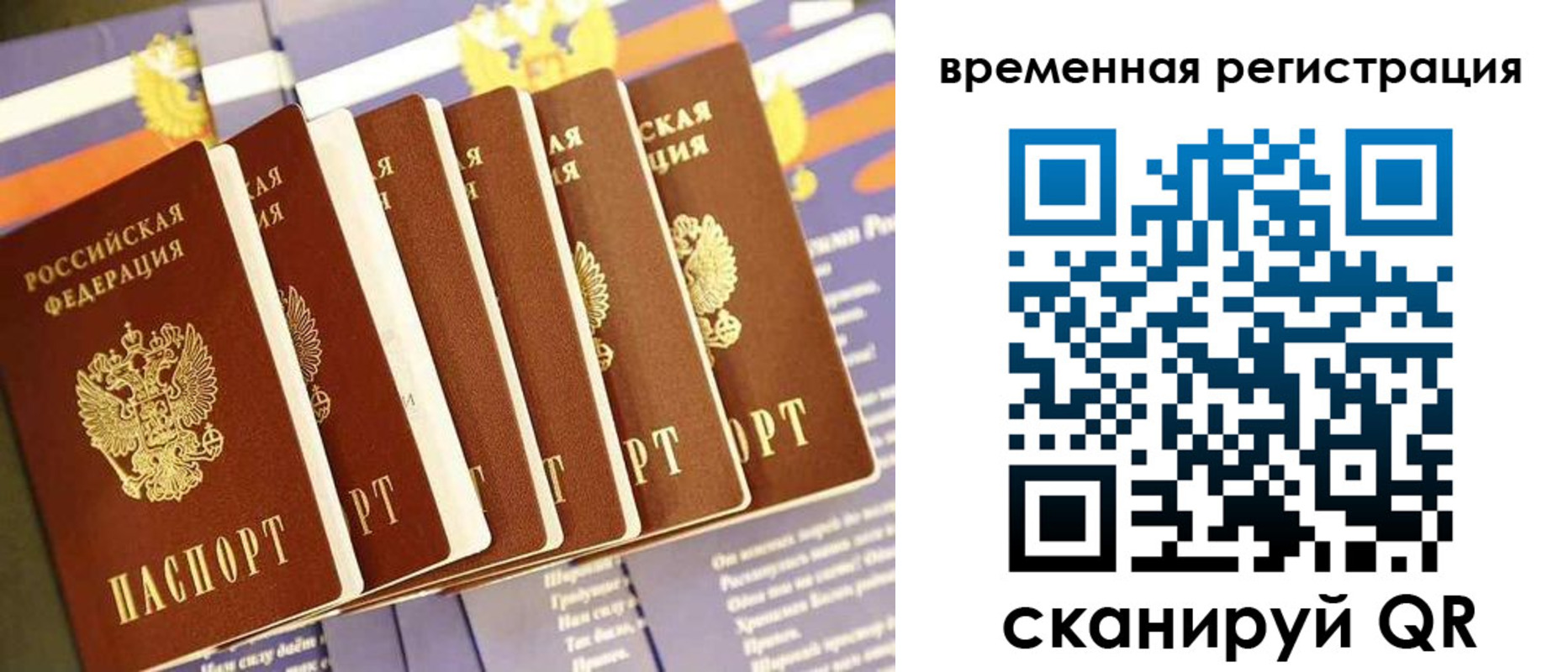 временная регистрация поиск в Сосновоборске